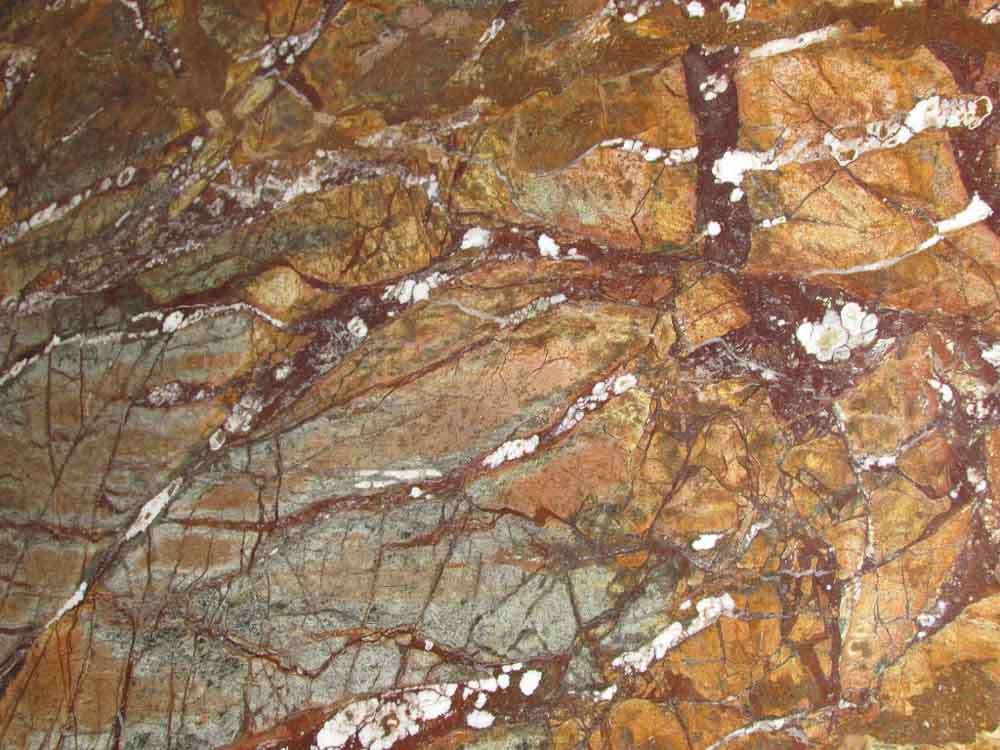 Natural Stone - Marble - Rainforest Brown 1